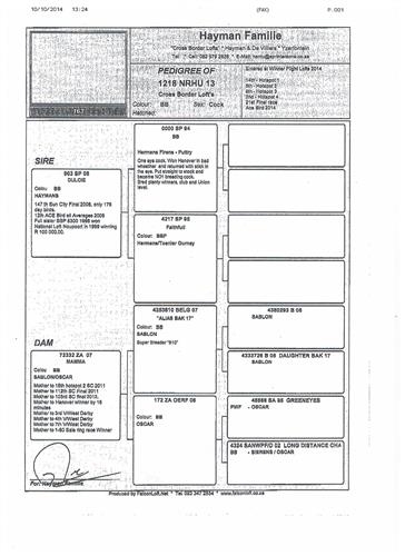 Congratulations to TEAM CROSS BORDER Lofts. Hentu & Nollie. They have the ACE PIGEON in the loft for 2014 season. Also a grandchild to SUPERBREEDER 810. Pedigree attached.