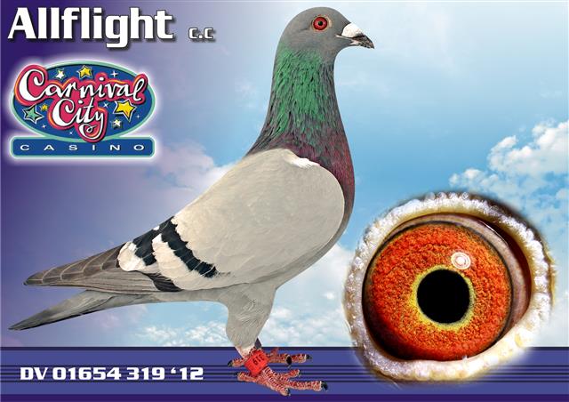 Allflight CC Summer 2014 Auction  - Directions to ERPC Club Braun Street Elandsfontein Alberton from N12 Voortrekker Street Alberton