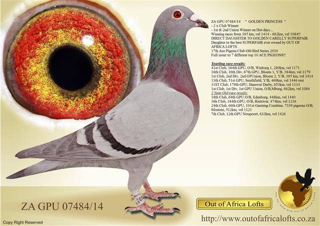 ZA GPU 07484/14 ZA GPU 07484/14