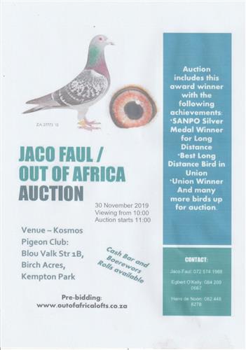 Our partner Jaco Faulds has purchased a new house with little space for stock and race lofts. He is scaling his own stock birds down drastically. The pigeons shall be loaded in pre-bidding soon. See attached venue date for final auction. 