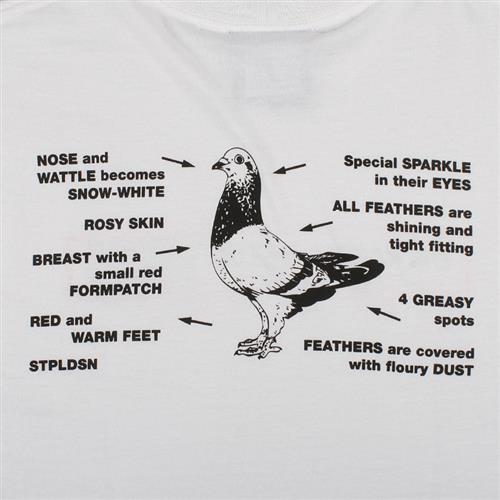 Some signs to look for when pigeons are getting on form.