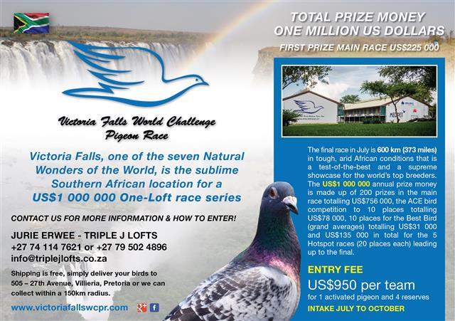 Please contact Jurie Erwee for the next intake of Victoria Falls One Loft Race. See attached brochure. Shipping is FREE! 